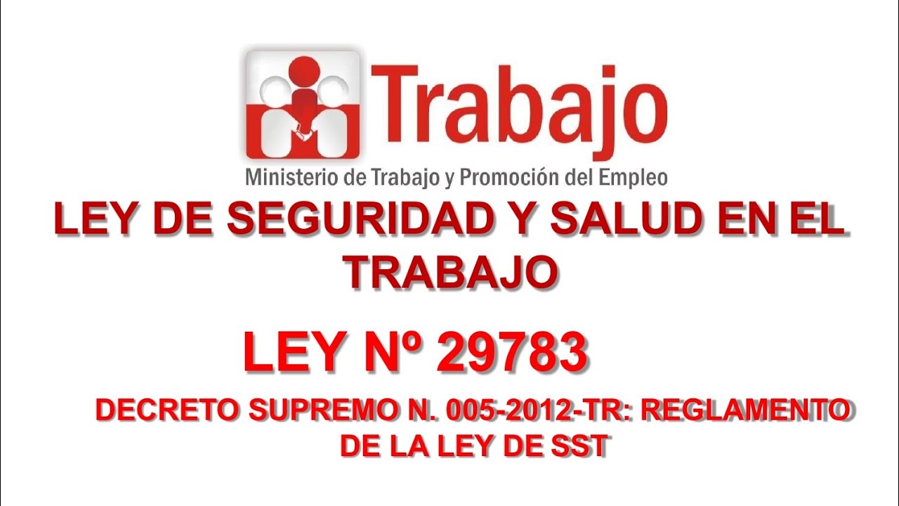 Ley 29783